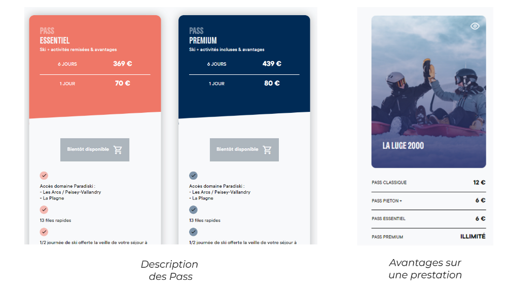 Exemples de trois formules de pass domaines skiables