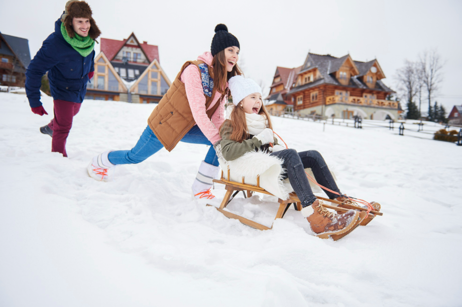 Photo d'une famille qui fait de la luge dans un domaine skiable