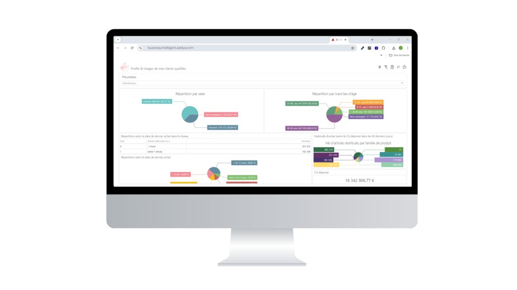 Interface du service Business Intelligence d'Adelya
