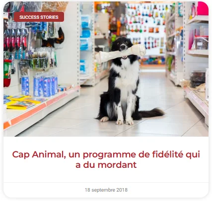 Comment convaincre votre réseau d’adopter un programme de fidélité ? 5 leviers concrets à activer